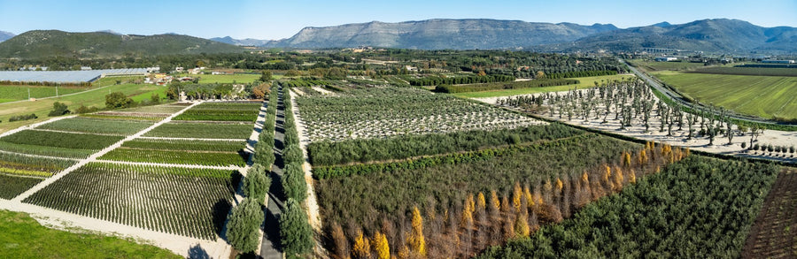 I campi e i monti Lepini