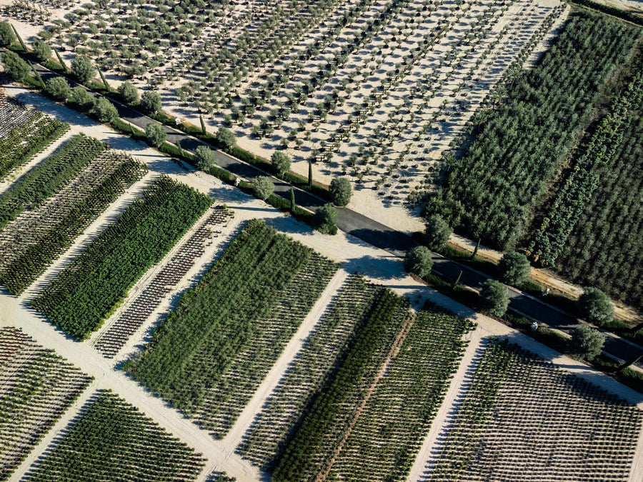 I campi di produzione