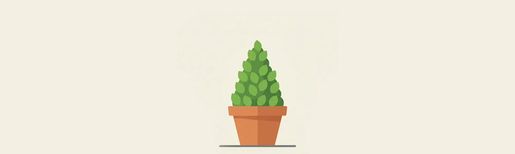 Cono