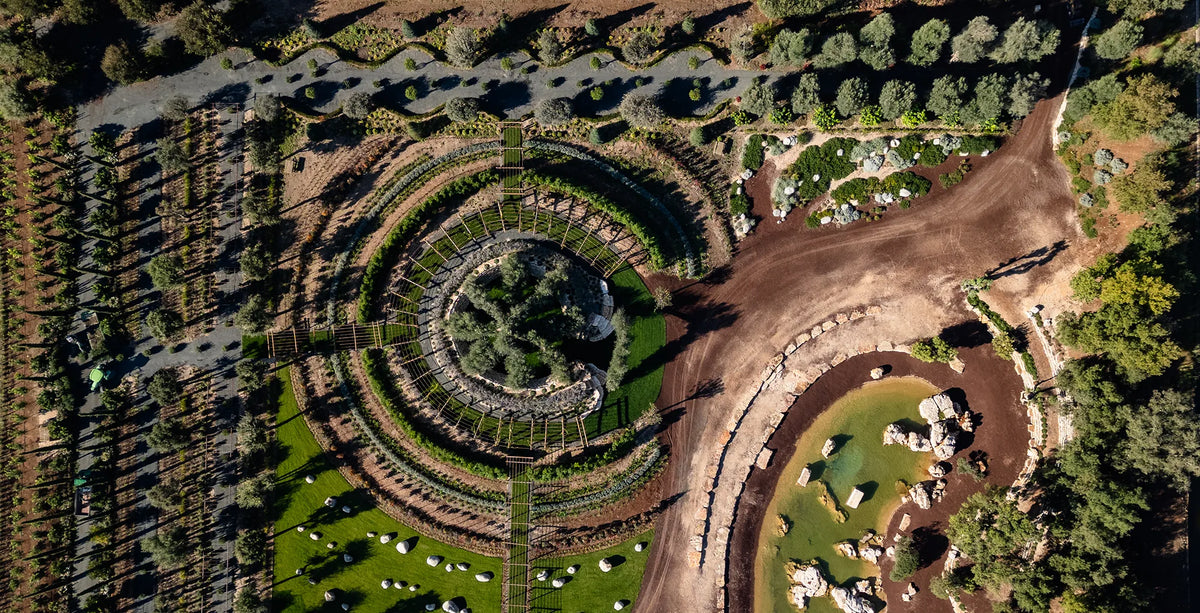 Parco di Fossanova, veduta d'insieme del verde