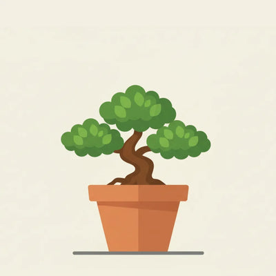 Bonsai
