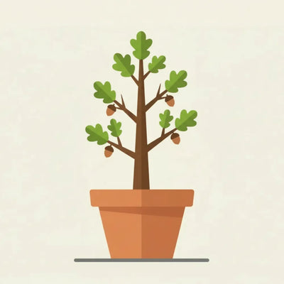 Albero